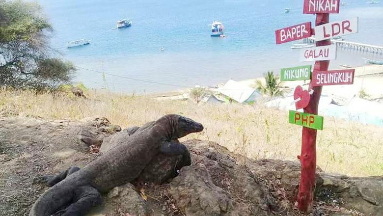 Taman Nasional Komodo